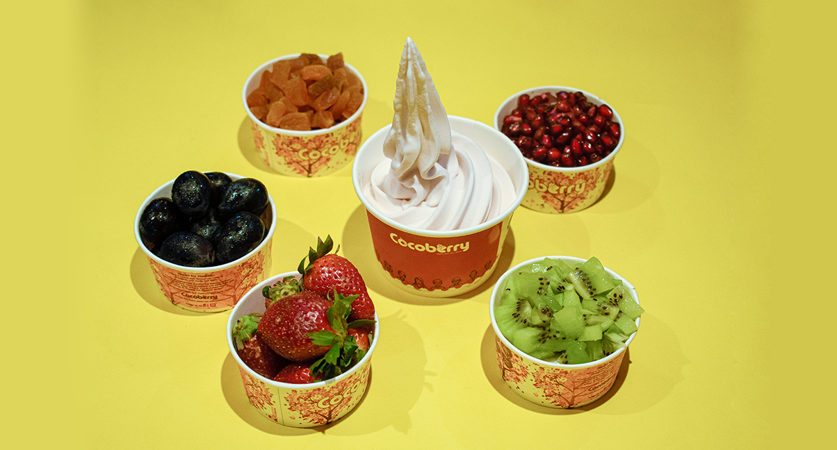 COCOBERRY – SPOT INDIA’S FIRST LEADING FROYO BRAND IN YOUR CITY NOW