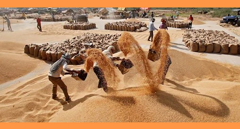 শীঘ্রই ১.২ মিলিয়ন টন গম🌾 রপ্তানির অনুমোদন দিতে পারে ভারত: রিপোর্ট