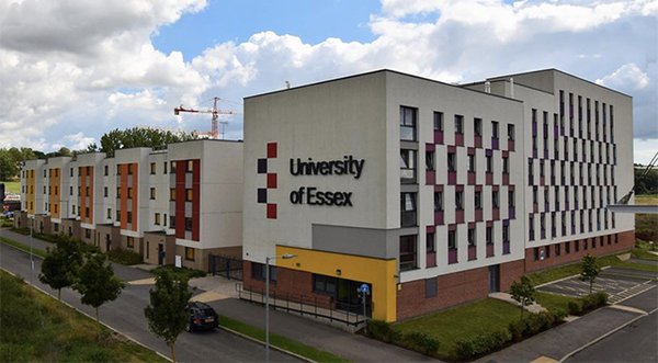 Study a PG Cert Business and Management (Business Analytics) with the University of Essex Online